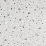 Organza Estrelas Prateadas Branca - Ribes y Casals