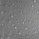 Organza Estrela Preta Prata - Ribes y Casals