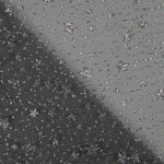 Organza Estrela Preta Prata - Ribes y Casals