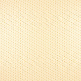 Organza Poliéster Plumeti Ocre - Ribes y Casals