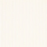 Veludo Cotelê Creme - Ribes y Casals