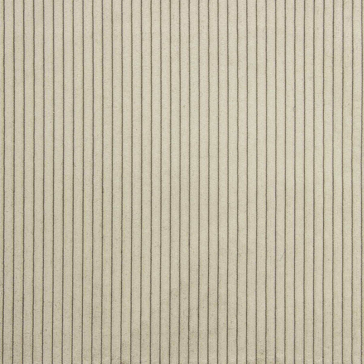 Estofos em veludo de bombazina da cor da trufa - Ribes y Casals