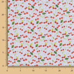 Patchwork Algodón Cereza Vichy Claro - Ribes y Casals