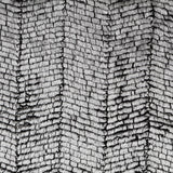 Cabelo Curto Fantasía Prata - Ribes y Casals