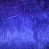Pêlo Longo Azul elétrico - Ribes y Casals