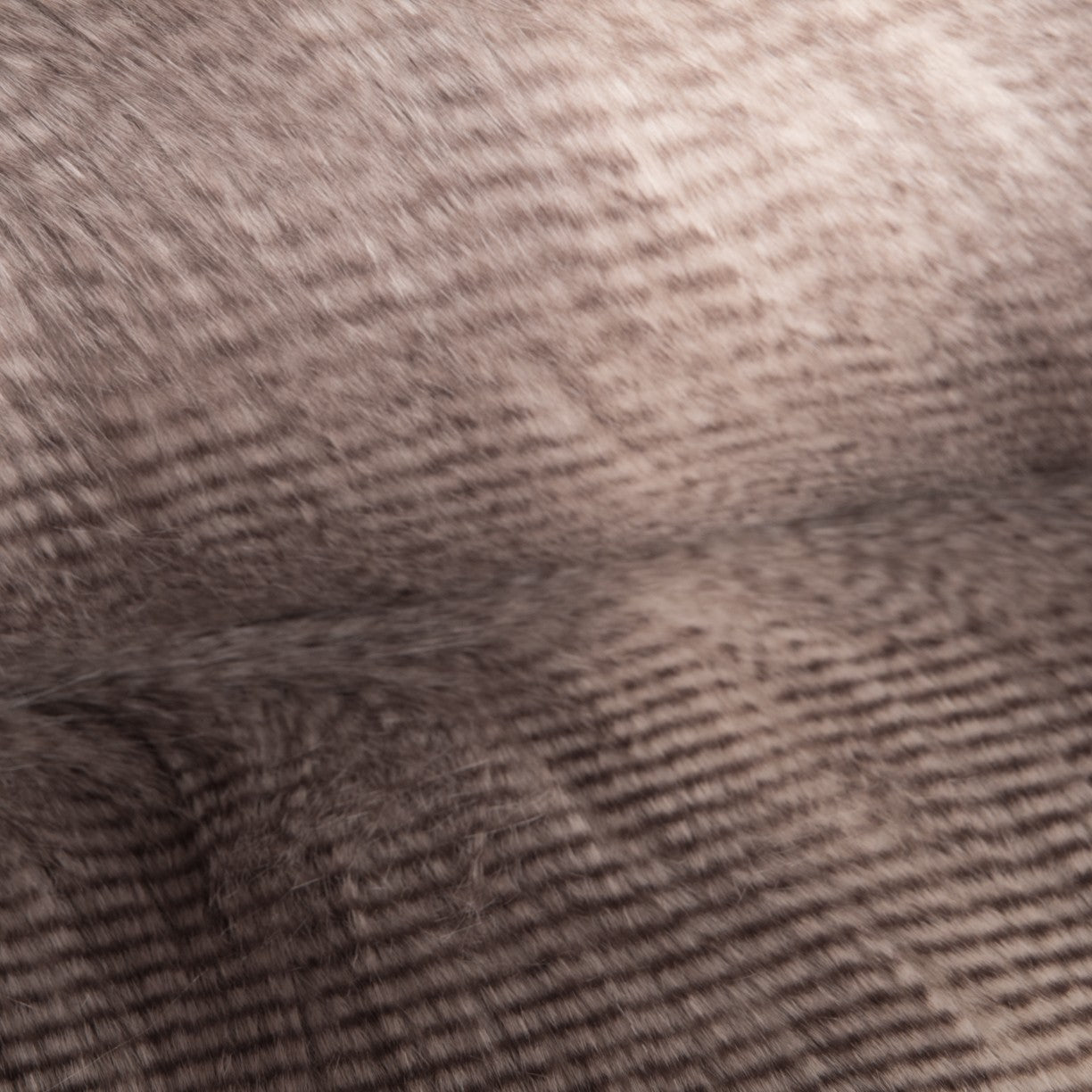 Tela online - Ribes y Casals