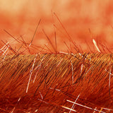 Pelo Brilhante Laranja - Ribes y Casals