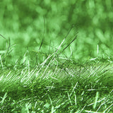 Pelo Brilhante Verde - Ribes y Casals