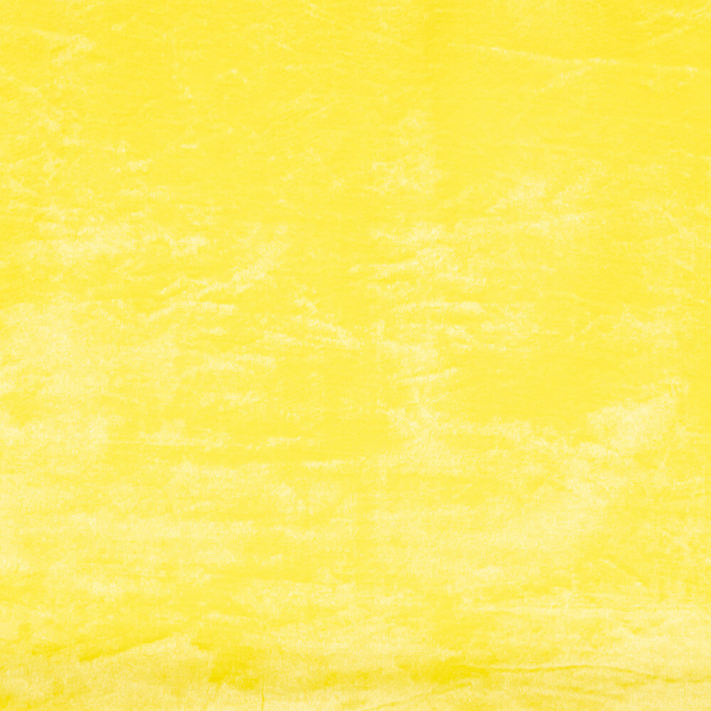 Pêlo Curto Galinha Amarelo - Ribes y Casals