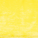 Pêlo Curto Galinha Amarelo - Ribes y Casals