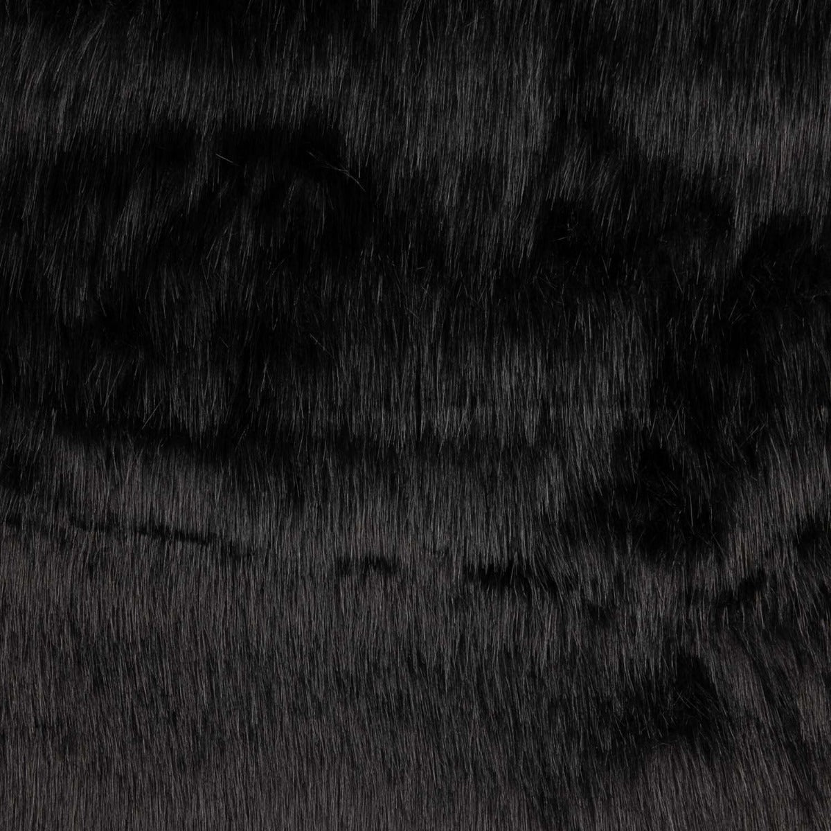 Pelo Longo Preto - Ribes y Casals