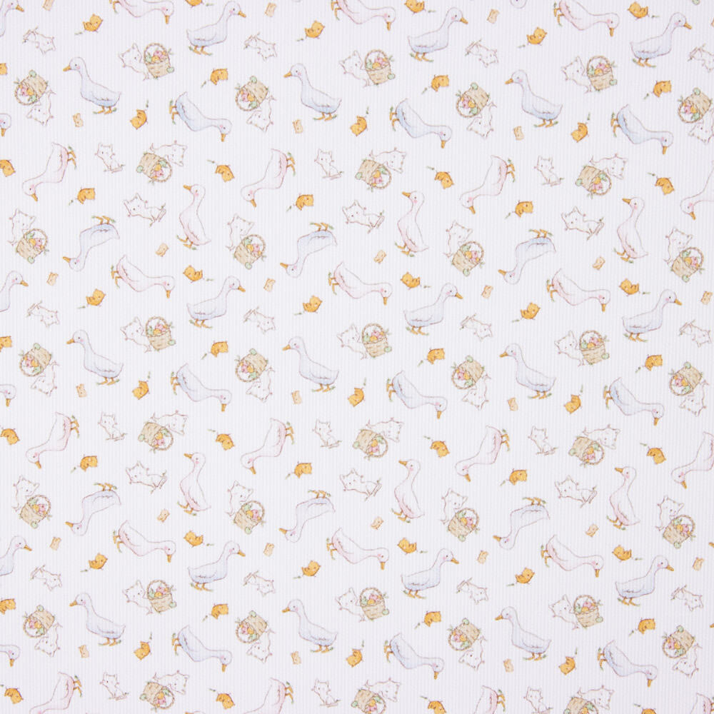 Gansos Piqué Canutillo - Ribes y Casals