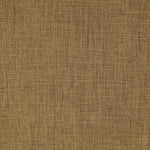 Plana Grossa Camel - Ribes y Casals