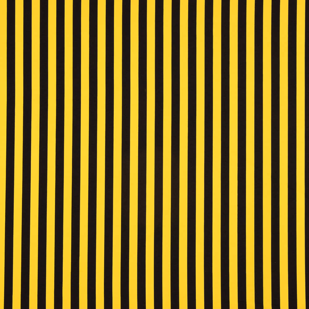 Poliéster Bicolor Plano Amarelo-Preto - Ribes y Casals