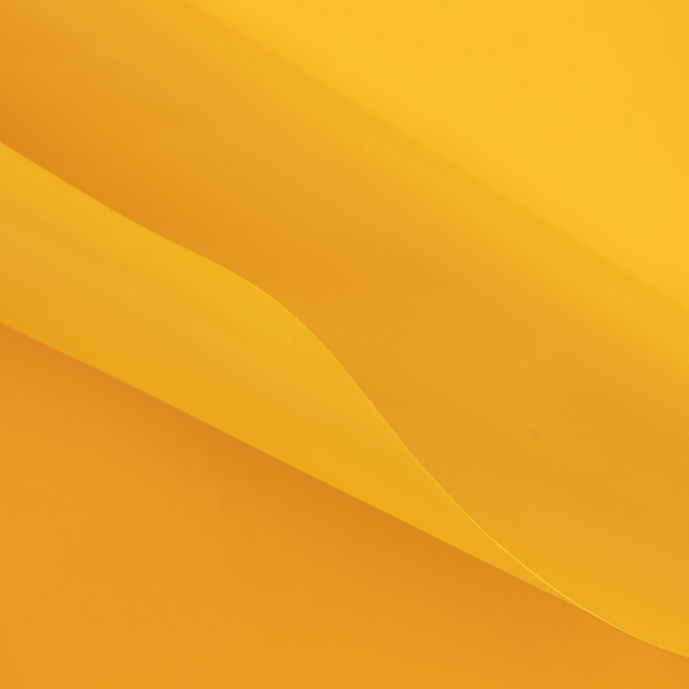 Capa de Plástico Amarelo - Ribes y Casals