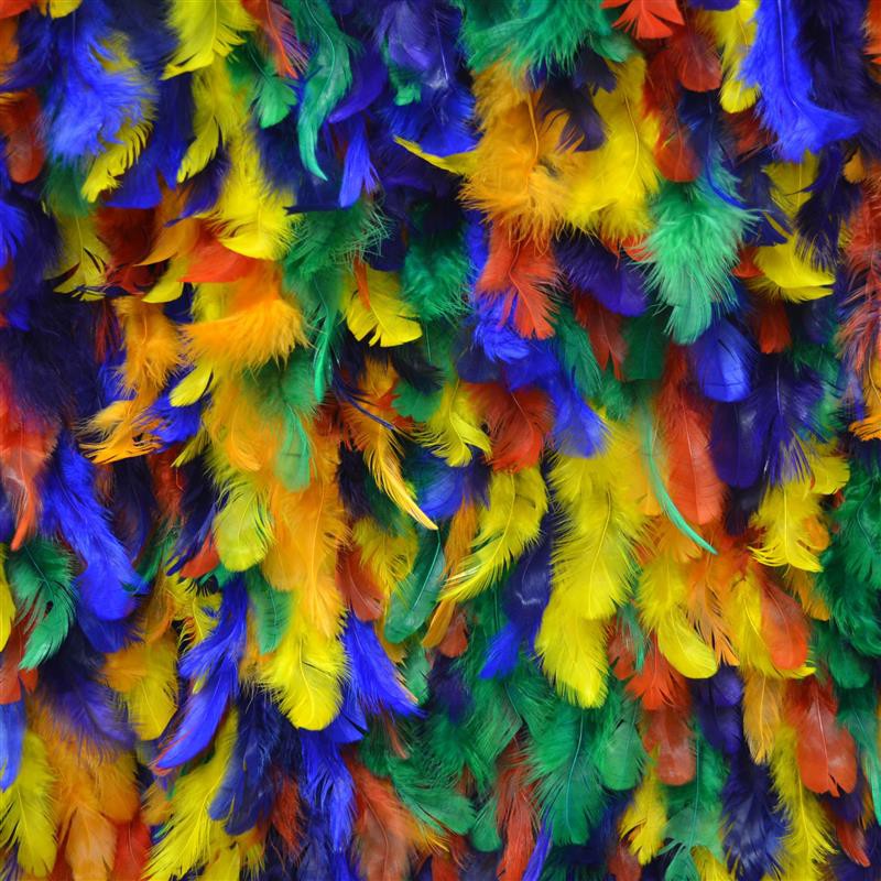 Plumas Multicores - Ribes y Casals