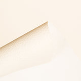 polipiel - Ribes y Casals