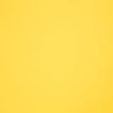 Couro Sintético Classic Amarelo - Ribes y Casals