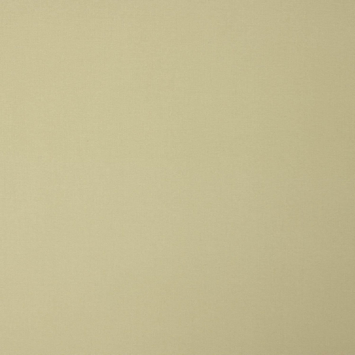 Popeline Algodão Bege Escuro - Ribes y Casals