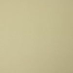 Popeline Algodão Bege Escuro - Ribes y Casals