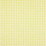 Popeline Algodão Orgânico Infantil Maxi Quadrado Lima - Ribes y Casals