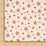 Popeline De Natal Estrelas Cru - Ribes y Casals