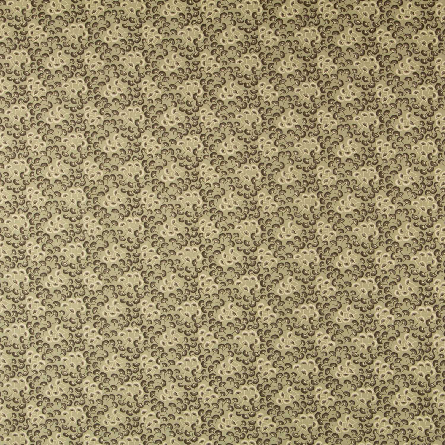 popelin algodón - Ribes y Casals