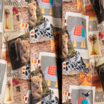 tela pop - Ribes y Casals