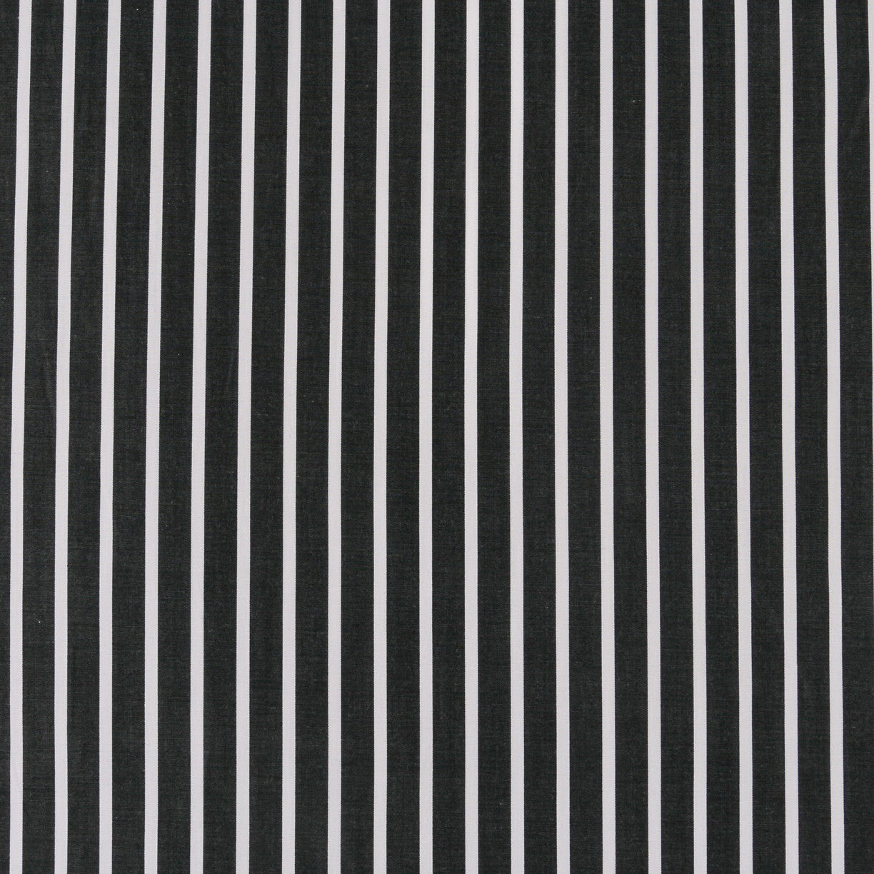 Popeline Camisa Listras Preta - Ribes y Casals