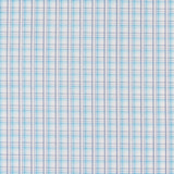 Popelín Camisa Raya Azul Oscuro - Ribes y Casals