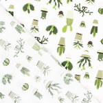 Popeline Estampado Cactus - Ribes y Casals