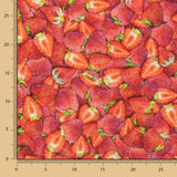 Patchwork Americano Morangos - Ribes y Casals