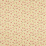 Popeline Algodão Roxana Bege - Ribes y Casals