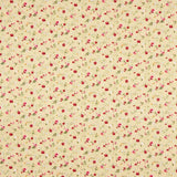 Popeline Algodão Roxana Bege - Ribes y Casals