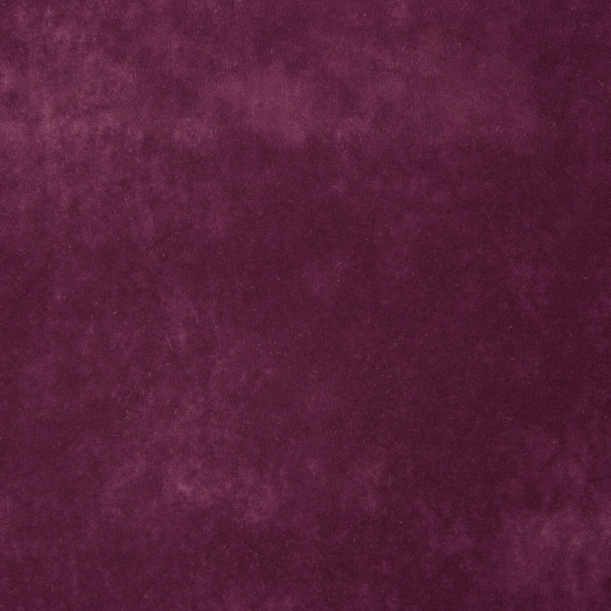 Tecido para Estofar à prova de Gatos Pérola - Ribes y Casals