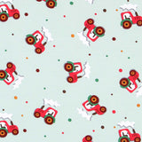 Malha de Algodão Fazenda Verde - Ribes y Casals