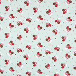 Malha de Algodão Fazenda Verde - Ribes y Casals