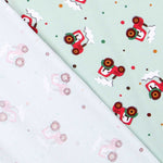 Malha de Algodão Fazenda Verde - Ribes y Casals