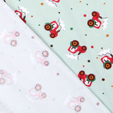 Malha de Algodão Fazenda Verde - Ribes y Casals