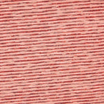 Bordado Jacquard Listado Vermelho - Ribes y Casals