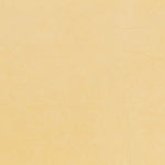 Punto Rizo Amarillo Pastel - Ribes y Casals