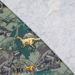 Malha de Algodão Dinossauros Verde - Ribes y Casals