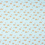 Malha Algodão Estampado Carros - Ribes y Casals