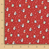 Malha Algodão Pinguins Garnet - Ribes y Casals