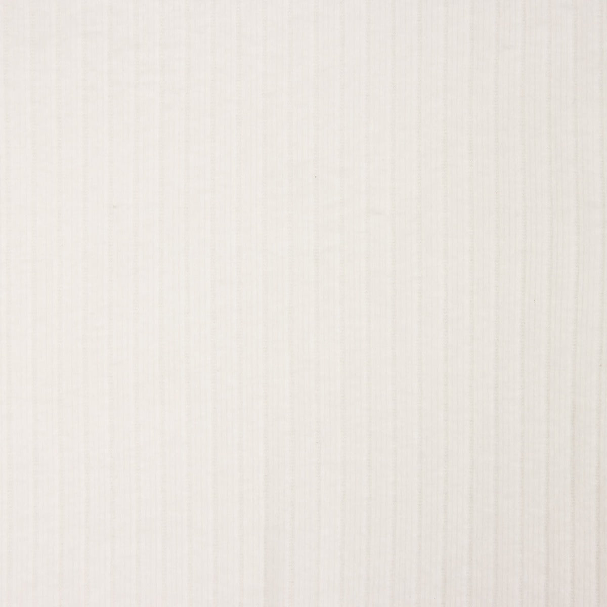 Malha Canelada com Efeito Veludo Branco - Ribes y Casals