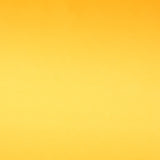 Raso moda - Ribes y Casals