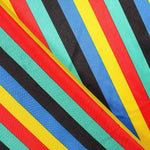 Cetim Carnaval Riscas Multicoloridas - Ribes y Casals