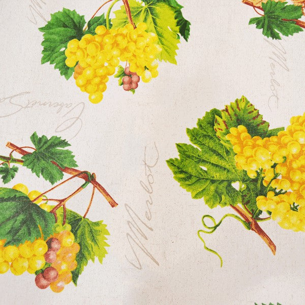Resina de Uvas Brancas - Ribes y Casals