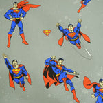 Super-homem Savana - Ribes y Casals