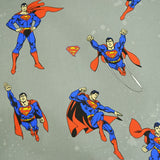 Super-homem Savana - Ribes y Casals